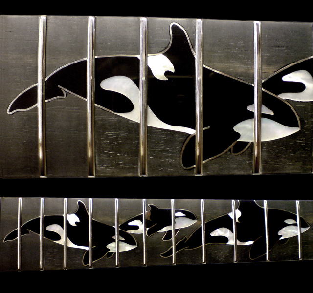 Orca Family Orca Family